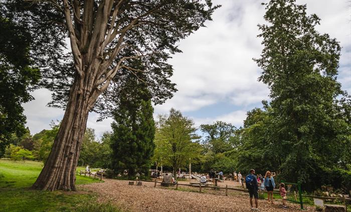 Play areas at Dyffryn Gardens